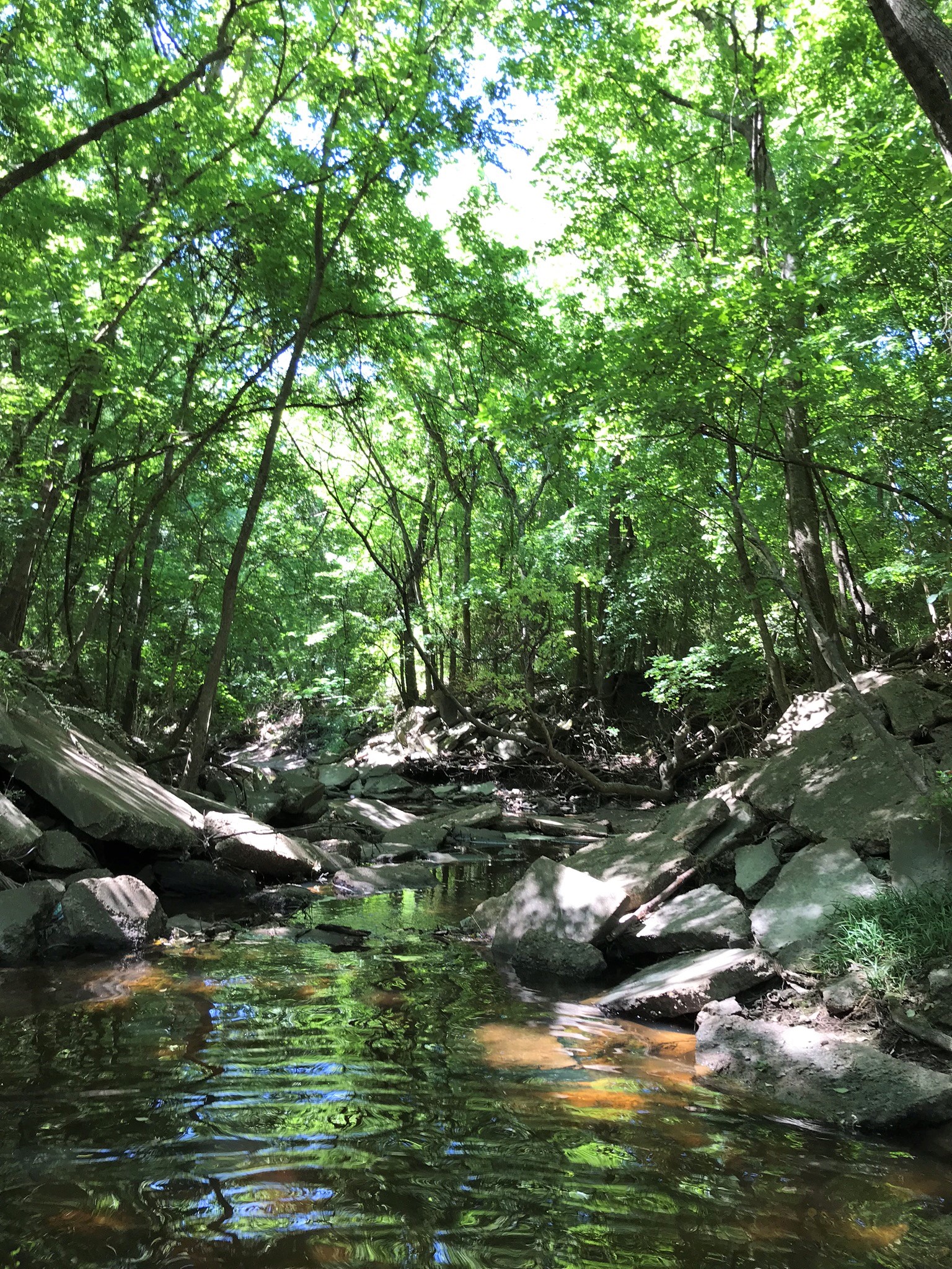 Stakeholder Meeting for Middle Neches Water Quality Planning